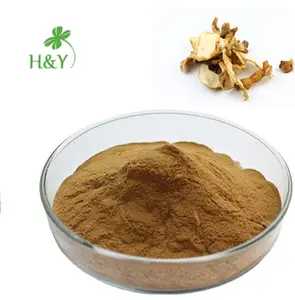 Pure Chinese Huang Jing Sealwort Extract Polygonati Rhizoma Extract