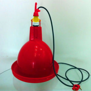 Nouveau abreuvoir à cloche en <span class=keywords><strong>PE</strong></span> pour poulets - Product Image 1