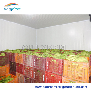 Refrigerador Room Apple Store Sala venta con insultado panel - Product Image 5