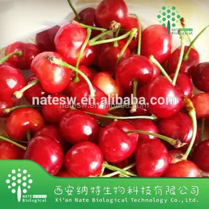 Natural Cherry Fruit Juice Powder