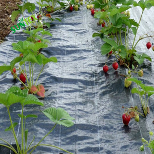 Couverture <span class=keywords><strong>de</strong></span> sol en tissu barrière contre les mauvaises herbes pour la plantation, 100GSM 4x100M tissu <span class=keywords><strong>de</strong></span> paillis anti-mauvaises herbes - Product Image 5
