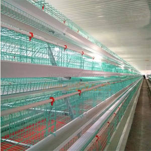 Nouveau L'ouganda Ferme Avicole Automatique Poulet Couche Cage avec Le Meilleur Prix - Product Image 1