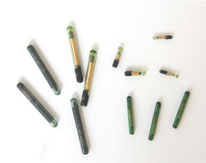 Kleinste <span class=keywords><strong>RFID</strong></span> NFC Microchips Transponder 8 MM <span class=keywords><strong>RFID</strong></span> Injectie Dier Huisdier <span class=keywords><strong>Tag</strong></span> Glas onder skin tags