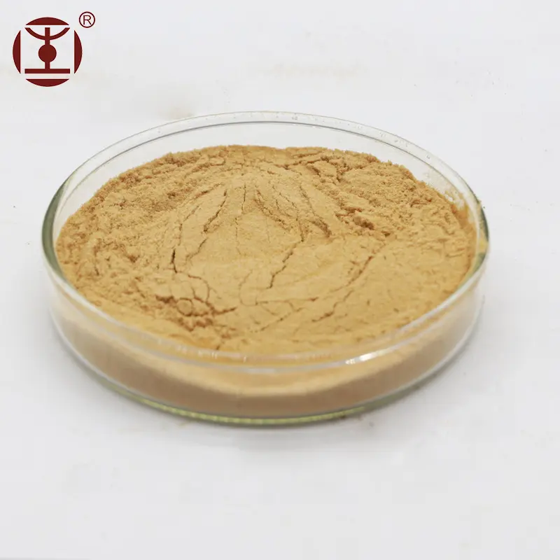 Hot sale Hericium erinaceus;lions mane mushroom powder