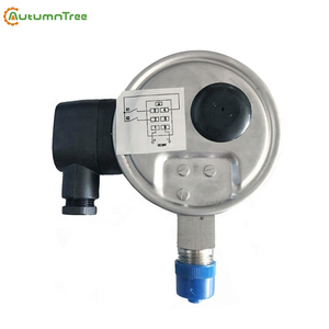 SS316 100 MM Elektrische Uitgangssignaal 4-20MA Digitale Manometer - Product Image 3
