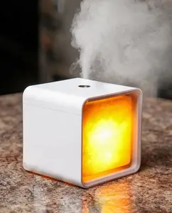 Lampu Minyak Garam Diffuser Aroma Profesional Yang Luar Biasa
