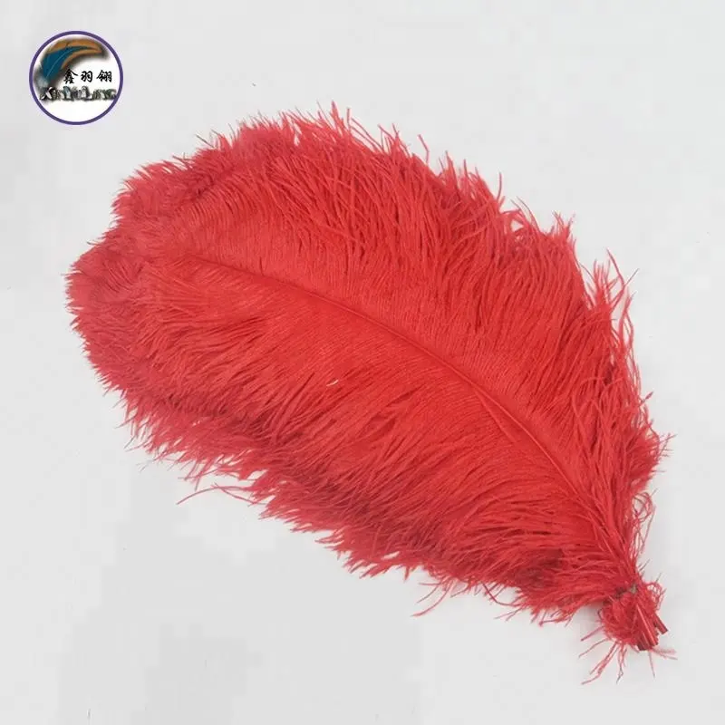 20-22 Inch(50-55 cm) High Quality Multi-Color Smooth Fluffy Natural Ostrich Feather for Carnival costumes and wings