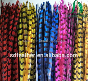 Proveedores de China de gran tamaño natural reeves <span class=keywords><strong>faisán</strong></span> plumas de cola para los trajes de carnaval - Product Image 5