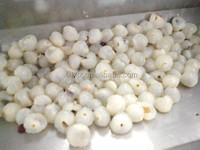 Taiwan Technologie Voor Lychee Peeling Machine, Lychee Vruchtensap Maker Complete Lychee Verwerking Lijn
