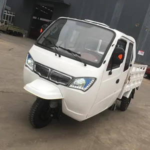 250CC MAOTORIZED CARGO Chỉ Đạo Bánh Xe CABIN Ba Bánh