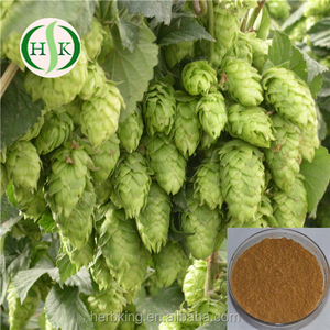 Beer <strong>Hops</strong> <strong>Extract</strong> Professional <strong>Supplier</strong> for <strong>Hops</strong> <strong>Extract</strong> - Product Image 2