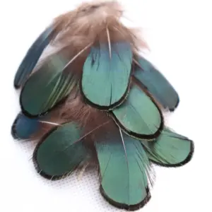 Precio de fábrica de materias primas de la pluma de faisán plumas de pavo real