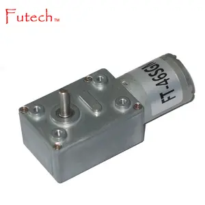 6V 12V 24V DC Micro Worm Gear Motor