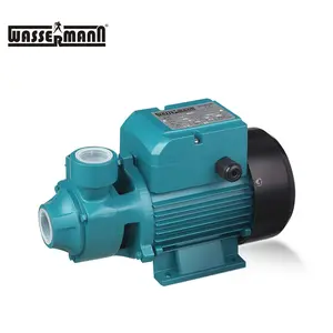 Pompe à eau périphérique Vortex qb60 qb80 à usage domestique au meilleur prix