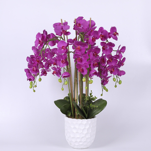 Flores artificiales <span class=keywords><strong>de</strong></span> tacto Real, polilla Artificial, mariposa orquídea, <span class=keywords><strong>casa</strong></span> <span class=keywords><strong>de</strong></span> orquídeas <span class=keywords><strong>de</strong></span> plástico, decoración <span class=keywords><strong>de</strong></span> Festival <span class=keywords><strong>de</strong></span> boda, Hotel <span class=keywords><strong>de</strong></span> fiesta - Product Image 2