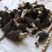 Prix d'Usine Morilles Séchées Noires