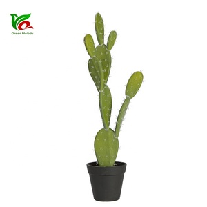 China plantas artificiales de belleza interior y de fiesta al aire libre Jardín de cactus, directo de fábrica - Product Image 6