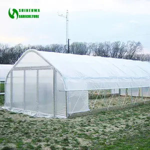 Single-Span Agrarische Tomaat Tunnel Kassen Versterkte Plastic Tunnel Kas Voor Aardbei