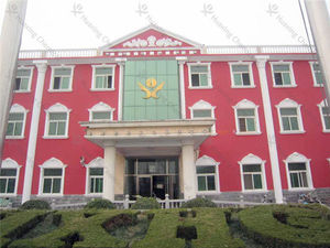 XXHX-<span class=keywords><strong>STPP</strong></span> <span class=keywords><strong>94</strong></span>% thực phẩm và công nghiệp lớp trong Phosphate muối-CAS 7758-29-4 - Product Image 6