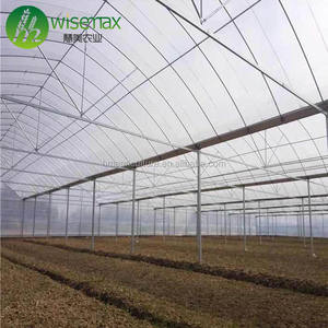 Multi de polytunnel de <span class=keywords><strong>segunda</strong></span> <span class=keywords><strong>mano</strong></span> de efecto invernadero para la venta - Product Image 6