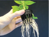 Sistem Hidroponik Rumah Kaca 2 3 4 Inch, Pot Jaring, Pot Tanam untuk Kebun Hidroponik, Pot Bunga Jaring, Planter