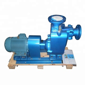 Самовсасывающие центробежные насосы серии ZW - Product Image 1