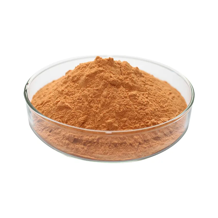 Top Quality Lycium barbarum L Goji Berry Powder Goji Berry Extract Chinese Wolfberry Extract