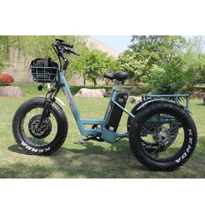 새로운 프레임 프론트 허브 모터 3 휠 FatBike 전기 오토바이 페달 어시스트 카고 자전거