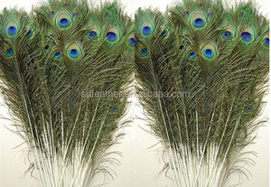 70-80Cm Trang Trí Nội Thất Lông Công Lông Bán Buôn Nhà Cung Cấp Tự Nhiên Lông Công Để Bán Giá Rẻ - Product Image 3