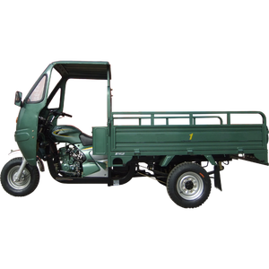 150cc/200cc Cargo трехколесный велосипед, три колеса мотоцикла - Product Image 4