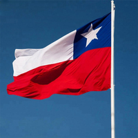 100% Poliéster Buen precio de fábrica estándar Bandera de Chile