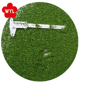 Rau Ngò Đông Lạnh Chất Lượng Tốt Nhất Trung Quốc Bán Chạy - Product Image 1