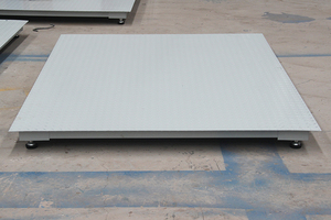 Nhà Máy Bán Trực Tiếp Quy Mô Sàn 1 Tấn Với Chỉ Báo Bằng Thép Không Gỉ - Product Image 2