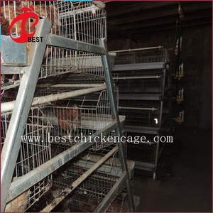 Venta caliente malla de alambre soldado con autógena batería capa de granja para sri lanka aves de caza jaula de pollo con gran precio - Product Image 5