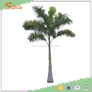 Songtao fornitore artificiale Roytostonea albero in fibra di vetro artificiale palma da cocco palma