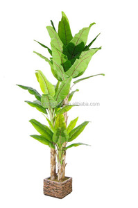 Banana <span class=keywords><strong>bonsai</strong></span> árbol artificial falso árbol de hoja <span class=keywords><strong>perenne</strong></span> plantas ornamentales - Product Image 4