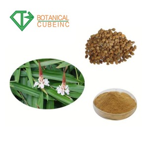 Sharpleaf galangal trái cây chiết xuất bột Fructus alpiniae oxyphyllae Chiết xuất với giá thấp. - Product Image 5