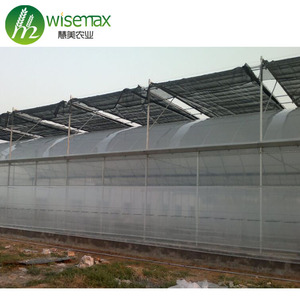 Chi Phí Thấp Nhà Kính Nông Nghiệp Aquaponics Phát Triển Hệ Thống Để Bán - Product Image 3