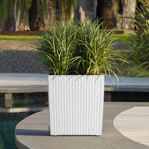 Superficie de aspecto clásico de ratán, decoración interior <span class=keywords><strong>para</strong></span> el hogar, riego automático, maceta de plástico blanco cuadrado grande <span class=keywords><strong>para</strong></span> árboles verdes, hierbas - Product Image 2
