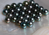 Perles de Tahiti de Mer du Sud Qualité 3A, Couleur Noir Paon Doré Foncé Naturel, Vente en Gros
