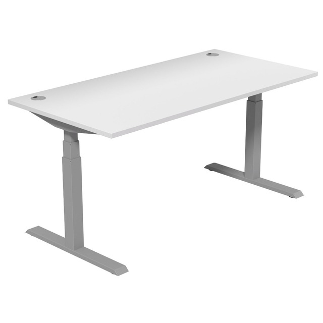 Dual Motor Electric Lifting Desk Ergonomic Motorized Height Adjustable Modern Extendable Standing Desk for Office Computer Use
