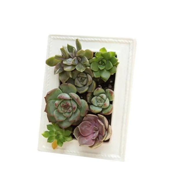 Marco de fotos blanco, maceta de cerámica para flores, planta de oficina, bonsái, cerámica creativa, moderna, 15,5x12x6cm, decoración del hogar/regalo, 10 Uds.