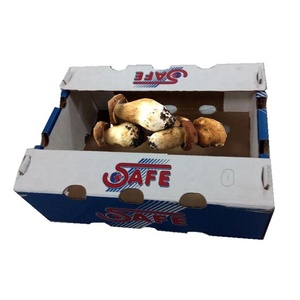 Mẫu Miễn Phí Tái Chế Hộp <span class=keywords><strong>Carton</strong></span> Sóng Cho Nấm Bao Bì Và Hiển Thị - Product Image 2