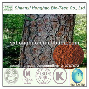 De alta calidad de pinus massoniana cordero( de corteza de pino) extracto - Product Image 1
