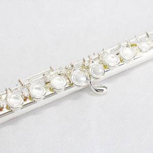 <span class=keywords><strong>China</strong></span> OEM de viento de madera populares más reciente estudio nivel E mecanismo francés llaves Offset llave C <span class=keywords><strong>Flauta</strong></span> 16 agujeros Flauto de plata plateado <span class=keywords><strong>Flauta</strong></span> - Product Image 5