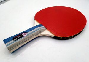 Da tavolo racchetta da tennis set 4 stelle racchette da tennis tavolo formazione di tennis da tavolo pipistrelli paddle 2 e 3 palle set - Product Image 3