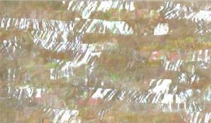 Mexicaanse <span class=keywords><strong>Paua</strong></span> Abalone <span class=keywords><strong>Shell</strong></span> Vellen Natuurlijke Parelmoer Papier - Product Image 3