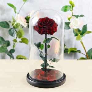 OEM personalizzato eco-friendly fatto a mano di lunga durata conservato per sempre in vetro rosa regalo di compleanno fiori decorativi piante - Product Image 5