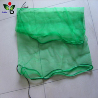 Plastic Pe Mesh Zak Groen Insect Trekkoord Voor Datering 80X100Cm