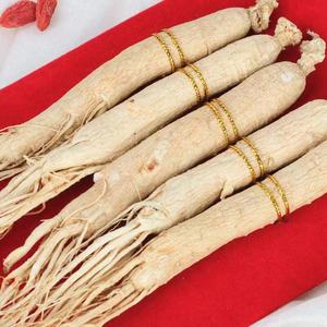 Échantillon gratuit De Ginseng Biologique <span class=keywords><strong>Jilin</strong></span> Ginseng La Montagne Changbai Racines De Ginseng - Product Image 6